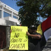 Jueza reitera rechazo a levantar suspensión de actividades en megagranja de Homún
