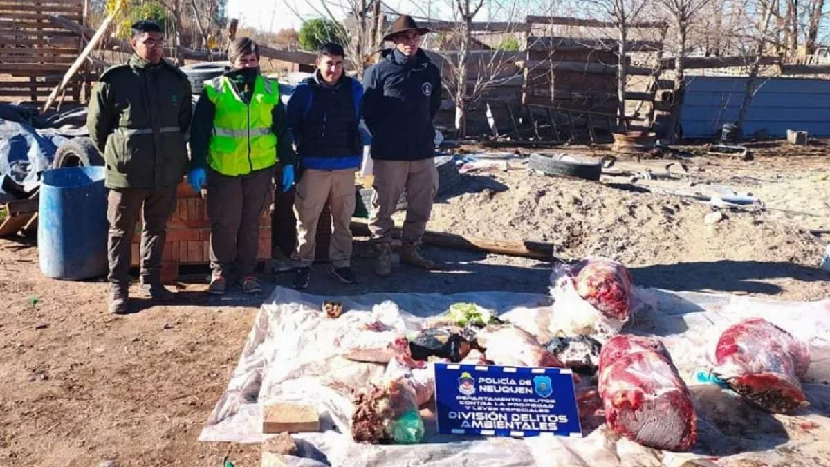 Se secuestraron 120 kilos de carne de caballo faenada de manera ilegal. Fuente: (Neuquén Informa)