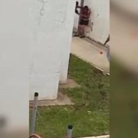 Jalisco: Víctor habría fallecido por maltrato y no por enfermedad