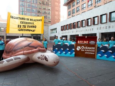 Una víctima de las regresiones al amparo: la justicia ambiental efectiva
