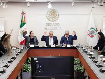 Comisiones del Senado aprueban el Plan B con modificaciones; pasa al pleno