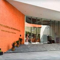 Médicos del Instituto Nacional de Perinatología causaron daño neurológico severo a una bebé: CNDH