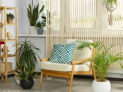 Dónde ubicar las plantas para potenciar la armonía, según el Feng Shui