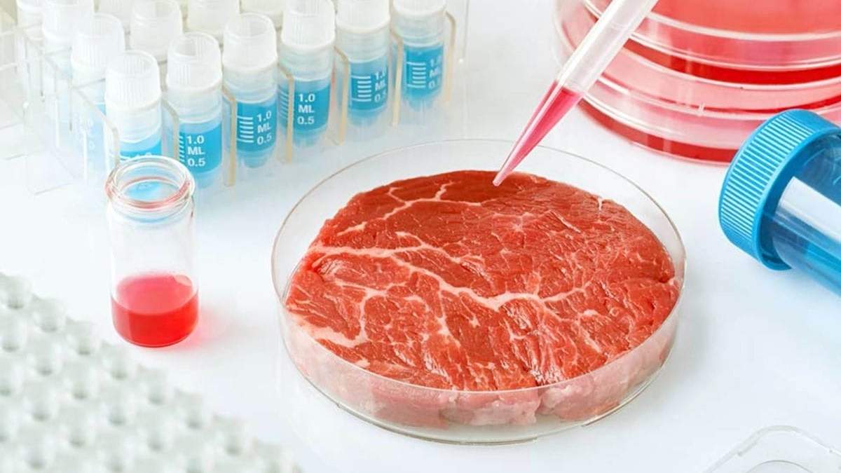 Producirán carne cultivada en laboratorio. Fuente: (Instagram)