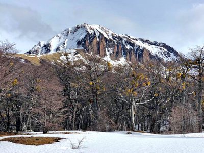 Con lluvias y nevadas sectorizadas: así estará el clima hoy en Neuquén