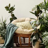 Las 5 plantas ideales para los rincones más oscuros de tu hogar