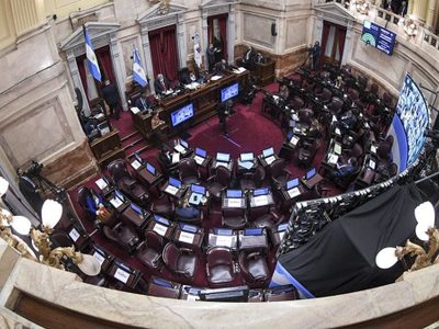 El Senado convirtió en ley el proyecto Zonas Frías para reducir las tarifas de gas