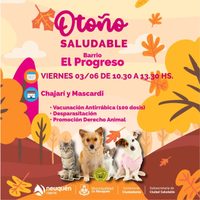 Habrá vacunación y desparasitación gratuita para mascotas en el barrio El Progreso