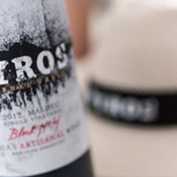Un vino sanjuanino es el preferido por los expertos de certamen coreano