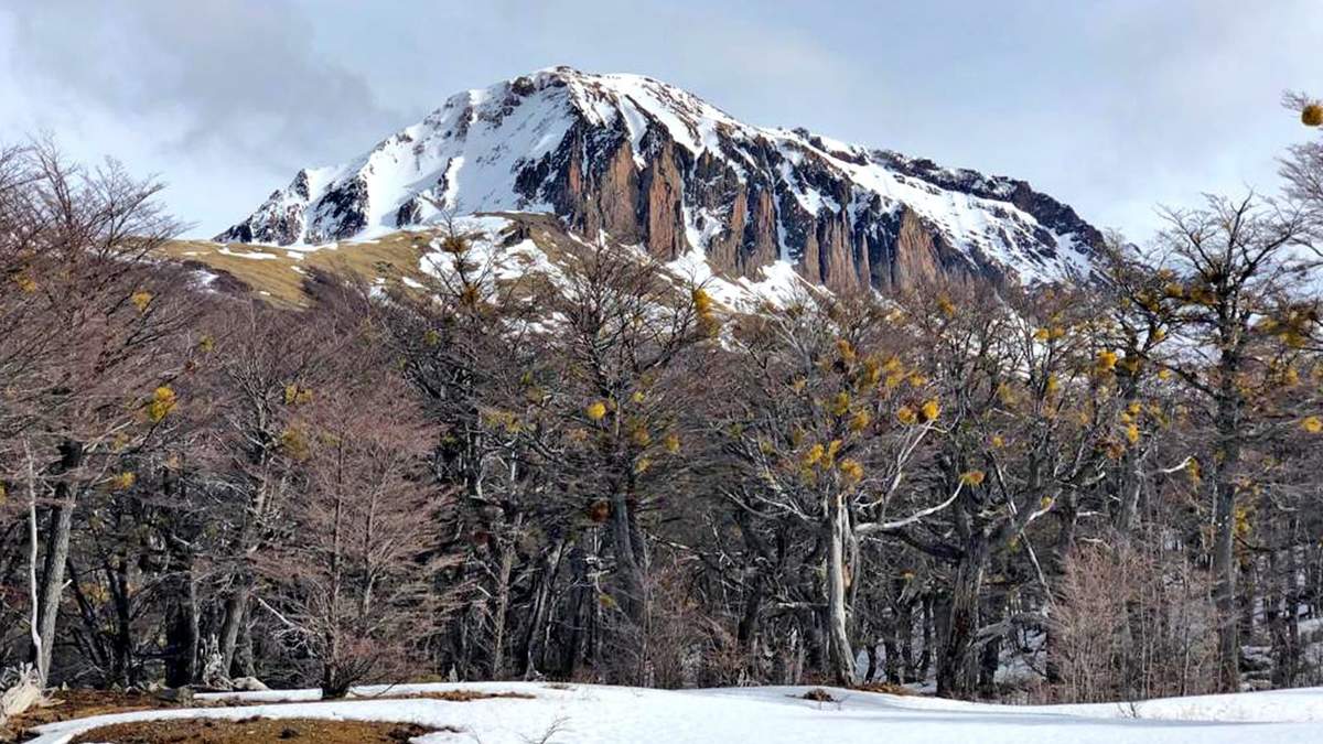 Neuquén. Fuente: (Instagram)