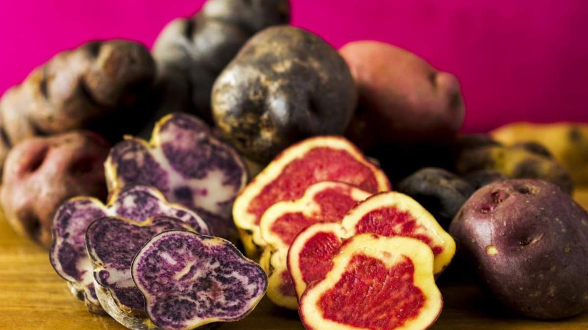 Papa andina, un alimento único. Fuente: (Twitter)