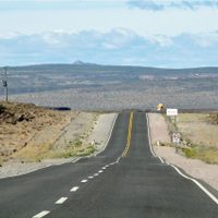 Conmoción en la ruta 237 por trágico accidente cerca de Picún Leufú
