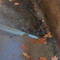 Luján: vecinos reclaman por una fuga de agua que lleva años sin solución