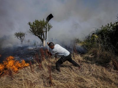 ¿Qué hay detrás de los incendios en Europa?