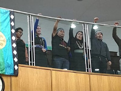 Confederación mapuche expresó un reconocimiento a la legislatura por el rechazo al DNU de Milei