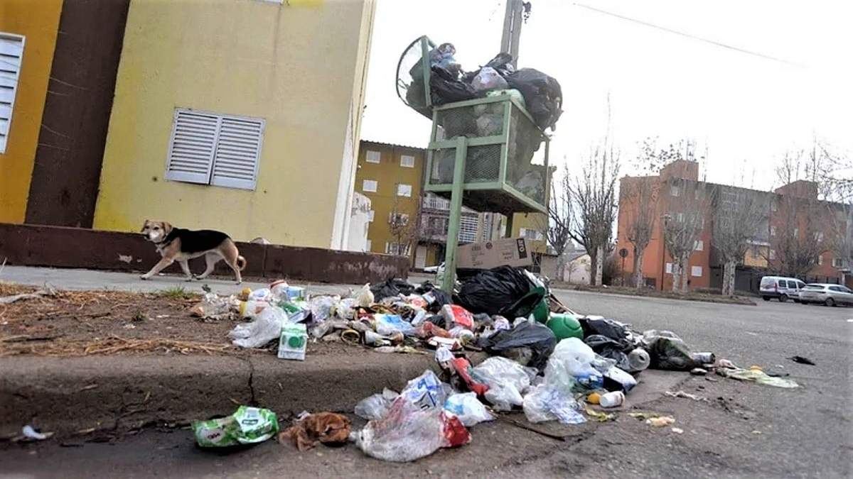 Basura acumulada. Fuente: (LMNeuquén)