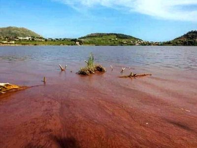 Imágenes desde el espacio muestran cómo se tiñó de rojo un lago en Italia