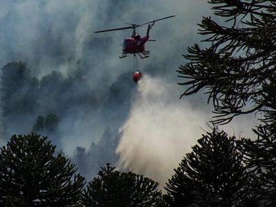 Brigadistas de distintas provincias refuerzan el combate contra el incendio en el Parque Nacional Lanín