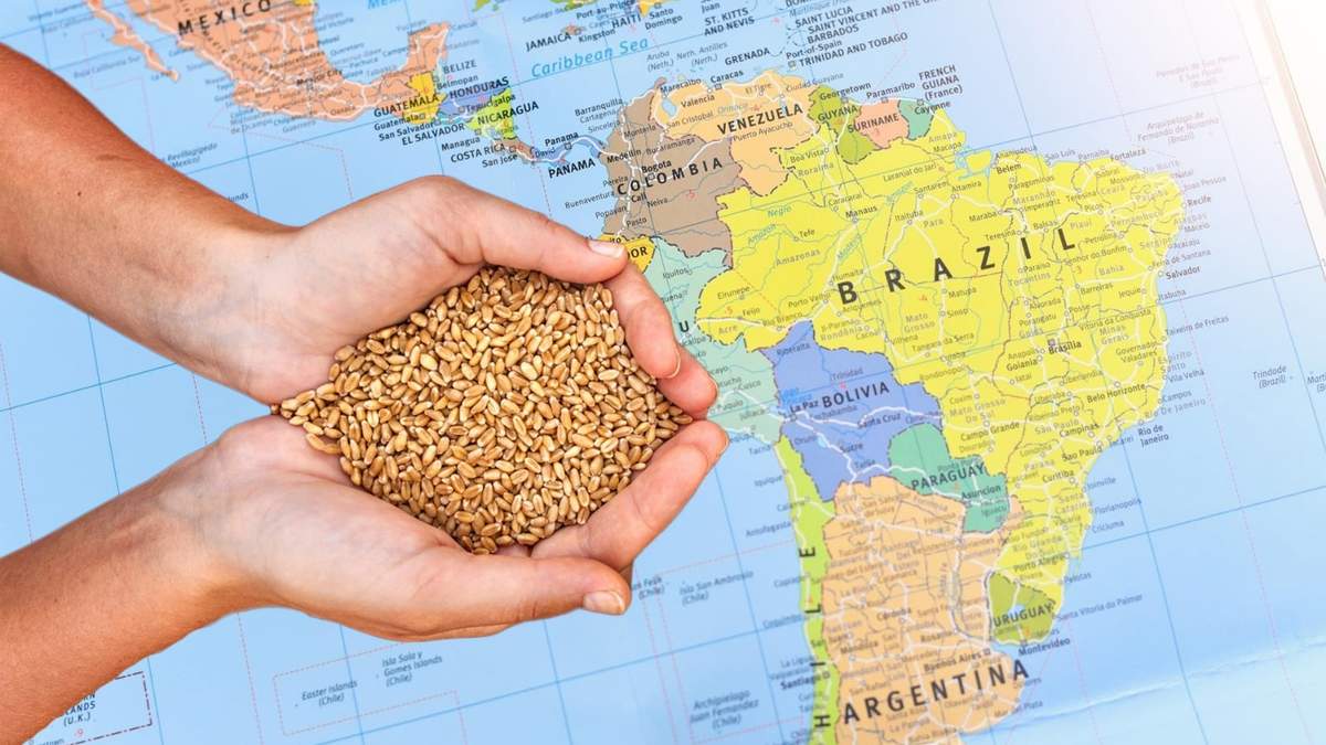 El hambre y la inseguridad alimentaria no paran de crecer en América Latina y el Caribe. Fuente: (Minuto Neuquén)