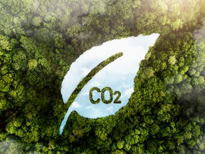 Vaca Muerta avanza hacia la sustentabilidad y lanzan el primer mercado digital de carbono