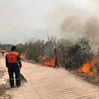 Incendio en Chilpancingo se extiende a zona serrana, denuncian pobladores
