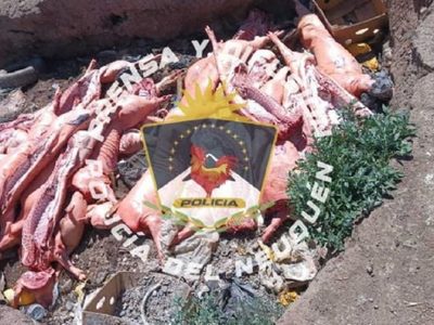 Llevaban 27 medias res de cerdos que se iban a vender en Aluminé