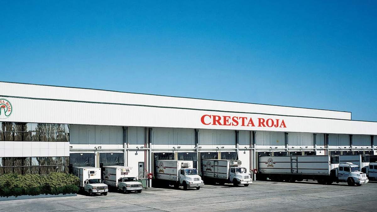 Planta de la Cresta Roja. Fuente: (Twitter)