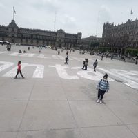 Con pinta en el zócalo exigen liberación de Israel Vallarta y señalan a Loret de Mola