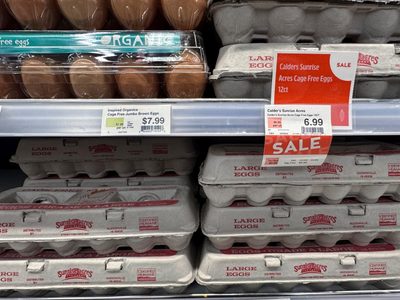 Limitan compras de huevos debido a gripe aviar