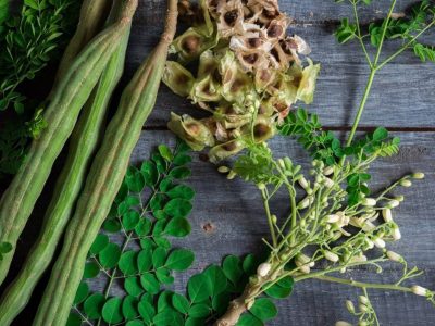 Moringa y sus beneficios científicos comprobados: qué dice la ciencia sobre sus riesgos y efectos secundarios
