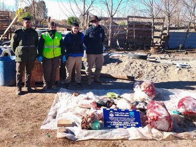 Allanaron un matadero clandestino de caballos que funcionaba en la meseta