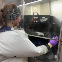 La luz ultravioleta desactiva el virus que provoca el covid-19, determina investigación