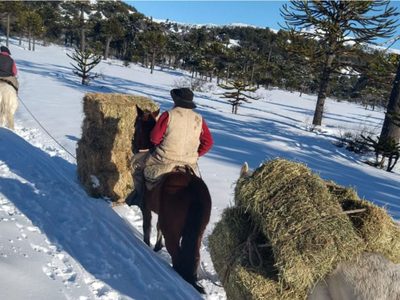 Villa Pehuenia: asistencia en la nieve a una familia de la Comunidad Puel