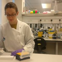 Variante sudafricana podría reducir considerablemente la protección de la vacuna de Pfizer: estudio