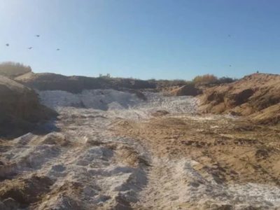 Vecinos de Plottier preocupados por el entierro de aves infectadas con gripe aviar