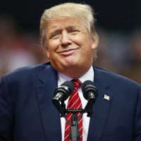 La guerra entre TikTok y Trump no para: qué anunció la aplicación
