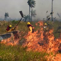 Los incendios forestales en Bolivia devastan la mayor reserva ecológica de la región