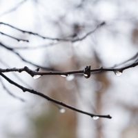 Clima en Neuquén: ingresa aire húmedo que traerá inestabilidad con lluvias en la cordillera