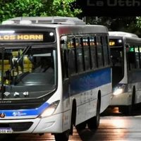 COLE sumará nuevas unidades en 2026 y planea alcanzar 200 colectivos en marzo