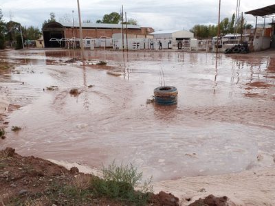 Una localidad neuquina quedó aislada tras las fuertes tormentas