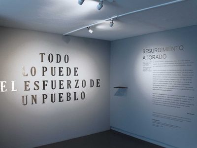 'Bauxita”/Museo de Arte Carrillo Gil