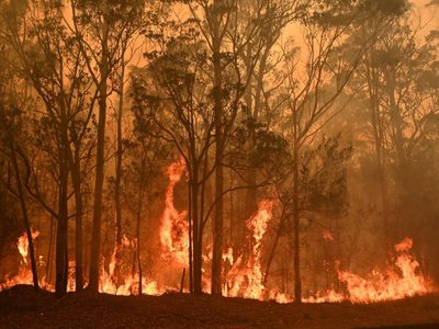 Llegó la lluvia a Australia pero no fue suficiente para sofocar los incendios que siguen arrasando al país