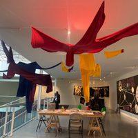 "Tiempo Compartido"/Museo de Arte Carrillo Gil