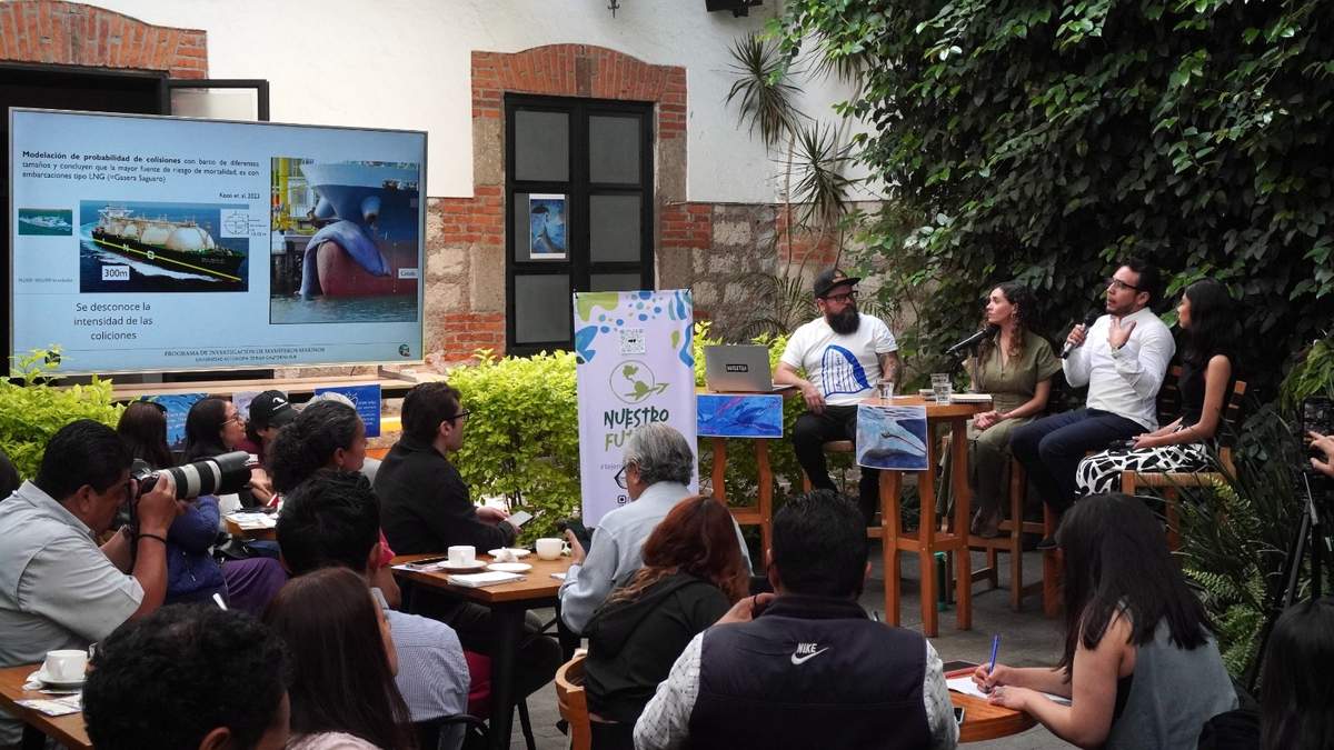 Conferencia sobre el caso de las ballenas del Golfo de California