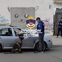 "Nai" encontró marihuana en un auto y fueron detenidos sus ocupantes