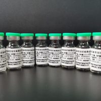Una vacuna contra el coronavirus será testeada en la provincia de Buenos Aires