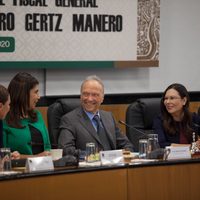 Ante el fiscal Gertz, diputadas rechazan desaparecer el tipo penal del feminicidio