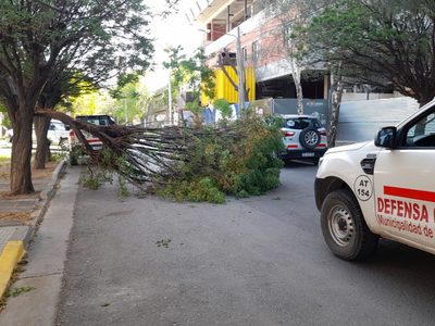 El temporal de viento se hace sentir en la Provincia