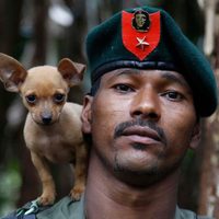 Los últimos rebeldes de las FARC