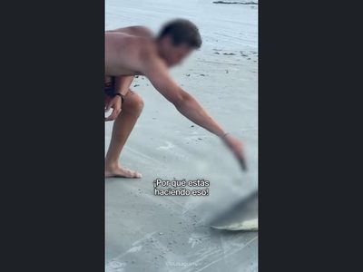 Dos sujetos acuchillan y sacrifican a un tiburón en playa de EU (Video)